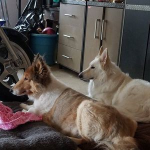 Meet your Posher, Tammy